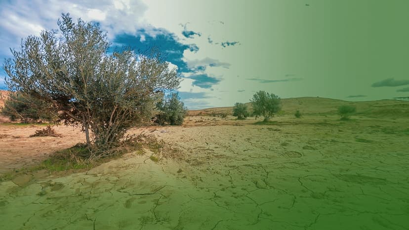 استصلاح الأراضي