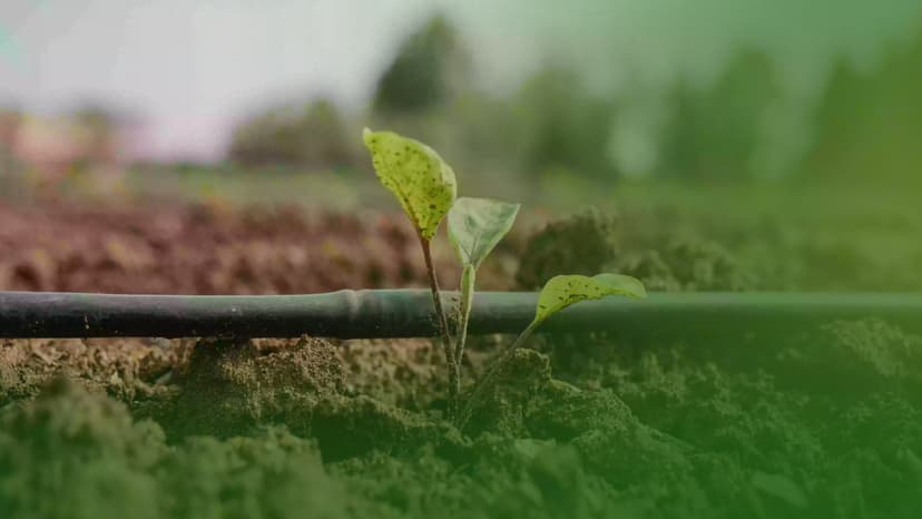 اعداد شبكات